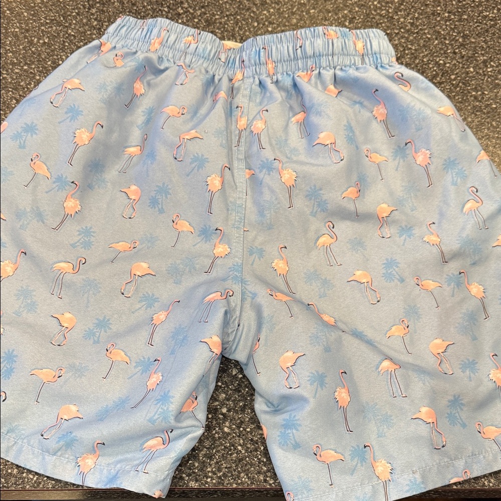 Blue Flamingo Print Swim Trunks with Pink Liner - Picture 12 of 12